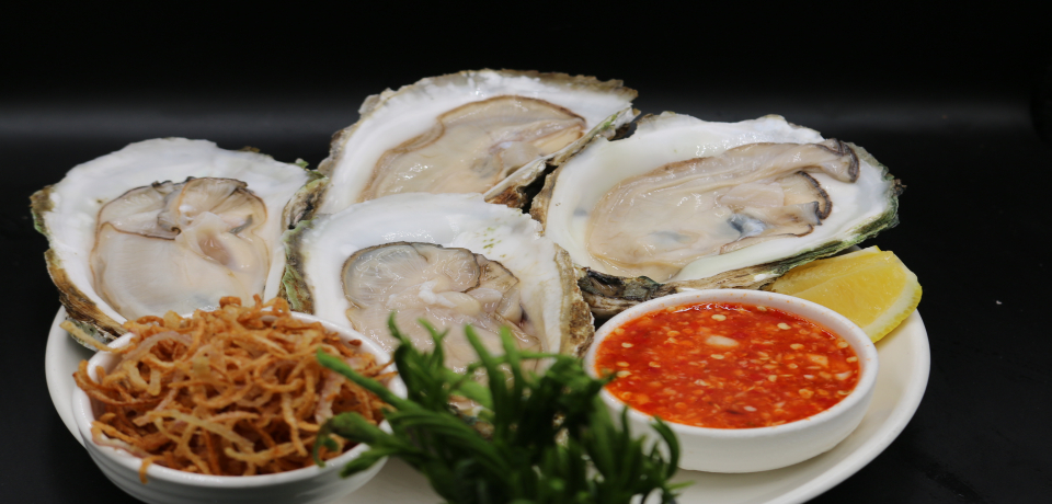Fresh Oyster