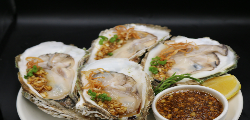Galic Oyster